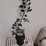 Varanda Privada Iroom Δωμάτια σε οικογενειακή κατοικία