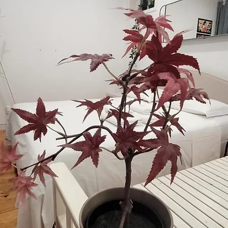 Kwatera prywatna Varanda Privada Iroom *