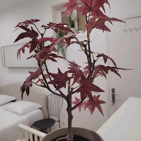 Varanda Privada Iroom Kwatera prywatna