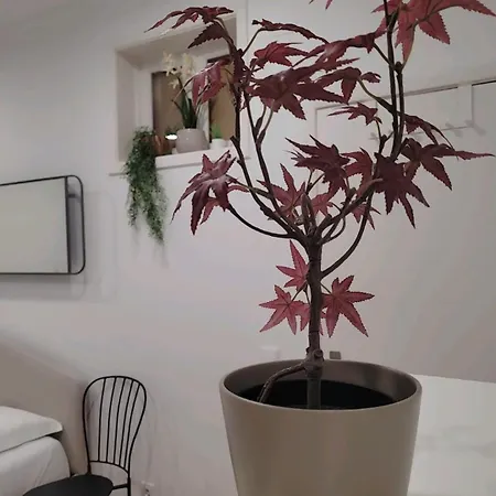 홈스테이 Varanda Privada Iroom 리스본