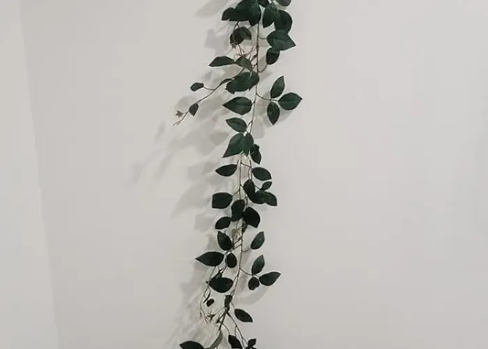 Varanda Privada Iroom Accommodatie bij particulieren *