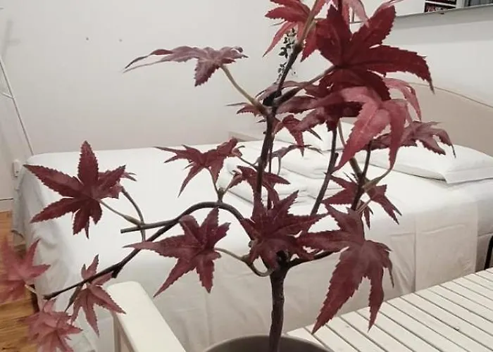 Accommodatie bij particulieren Varanda Privada Iroom *