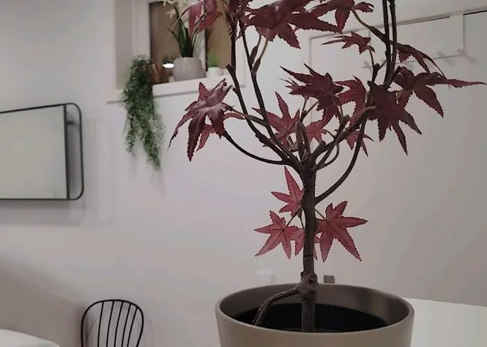 Δωμάτια σε οικογενειακή κατοικία Varanda Privada Iroom Lisboa